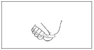Image Of Picture 5 (Picture 5)